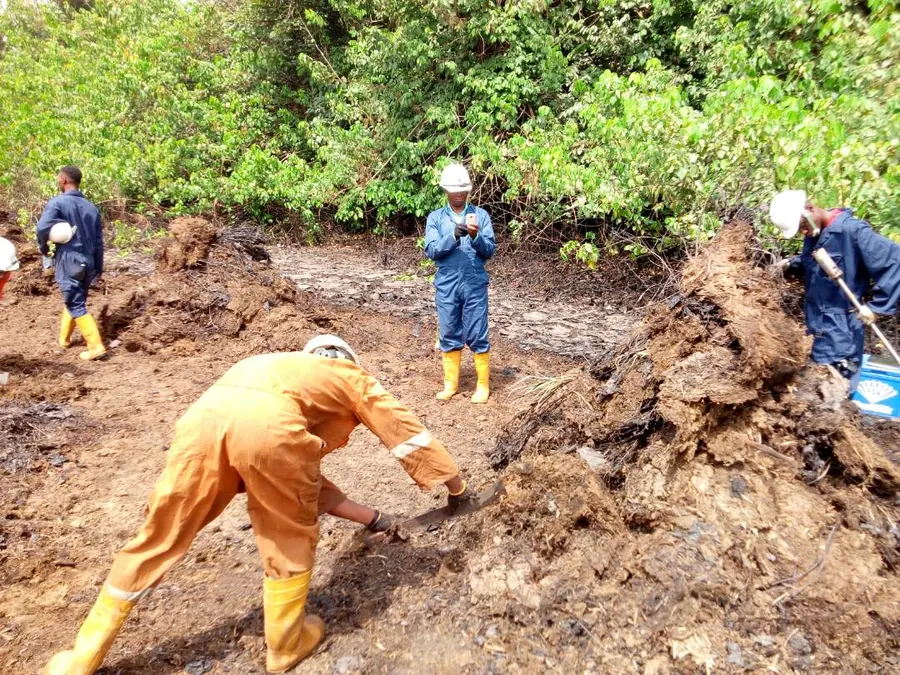 Site Remediation Work — Jacio Environmental Limited